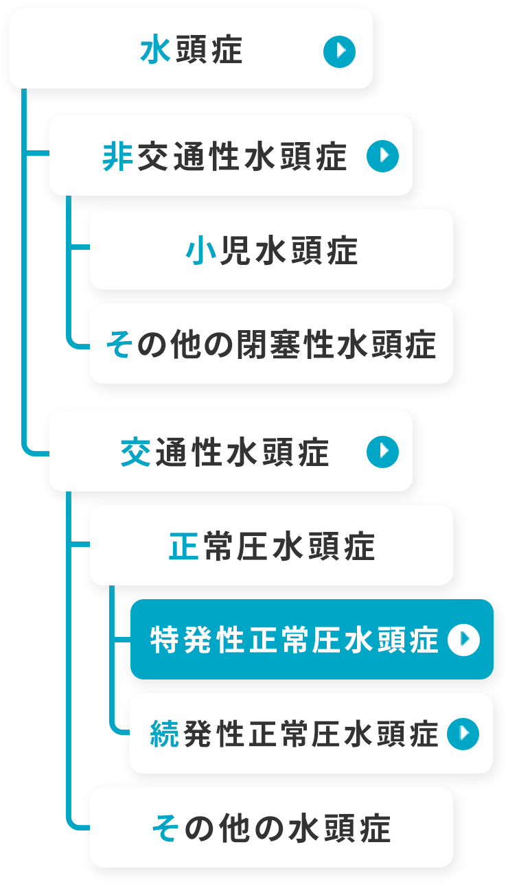 水頭症の分類図